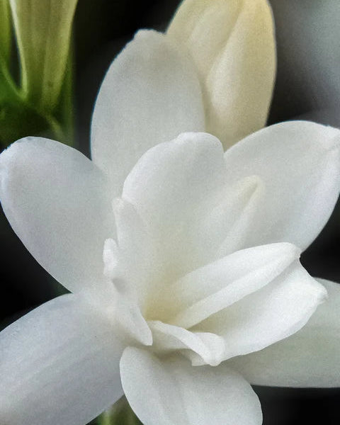 KERATIN HAIR MASK